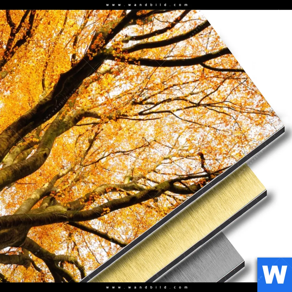 Aluminiumbild gebürstet | Alte Buche | Hochformat - Image 3