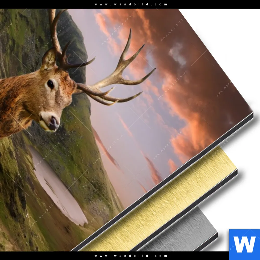 Aluminiumbild gebürstet | Hirsch in Gebirgslandschaft | Hochformat - Image 3