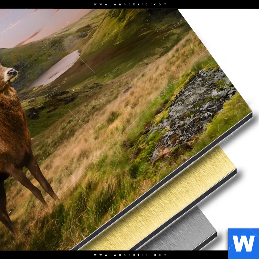 Aluminiumbild gebürstet | Hirsch in Gebirgslandschaft | Quadrat - Image 3