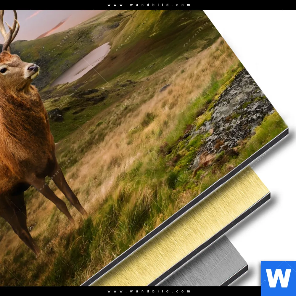 Aluminiumbild gebürstet | Hirsch in Gebirgslandschaft | Rund - Image 3