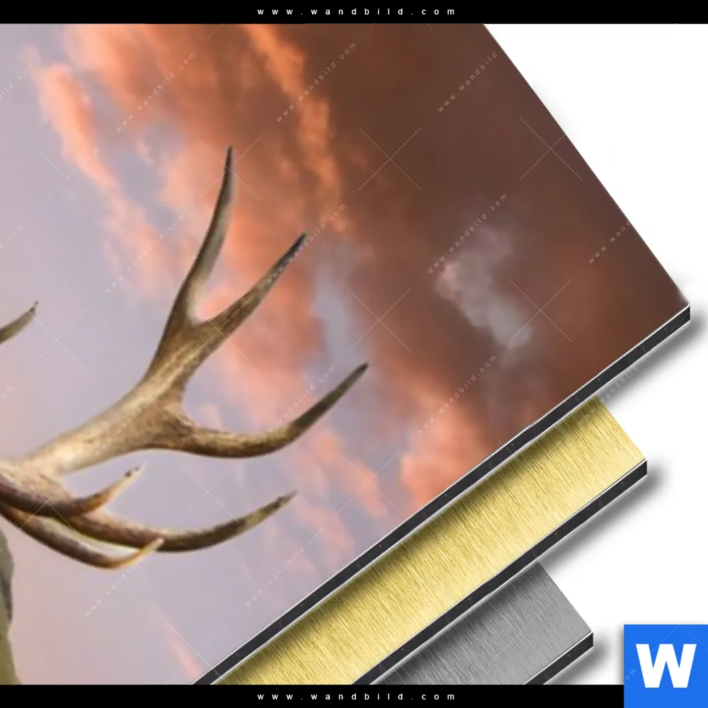 Aluminiumbild gebürstet | Hirsch in Gebirgslandschaft | Schmal - Image 3