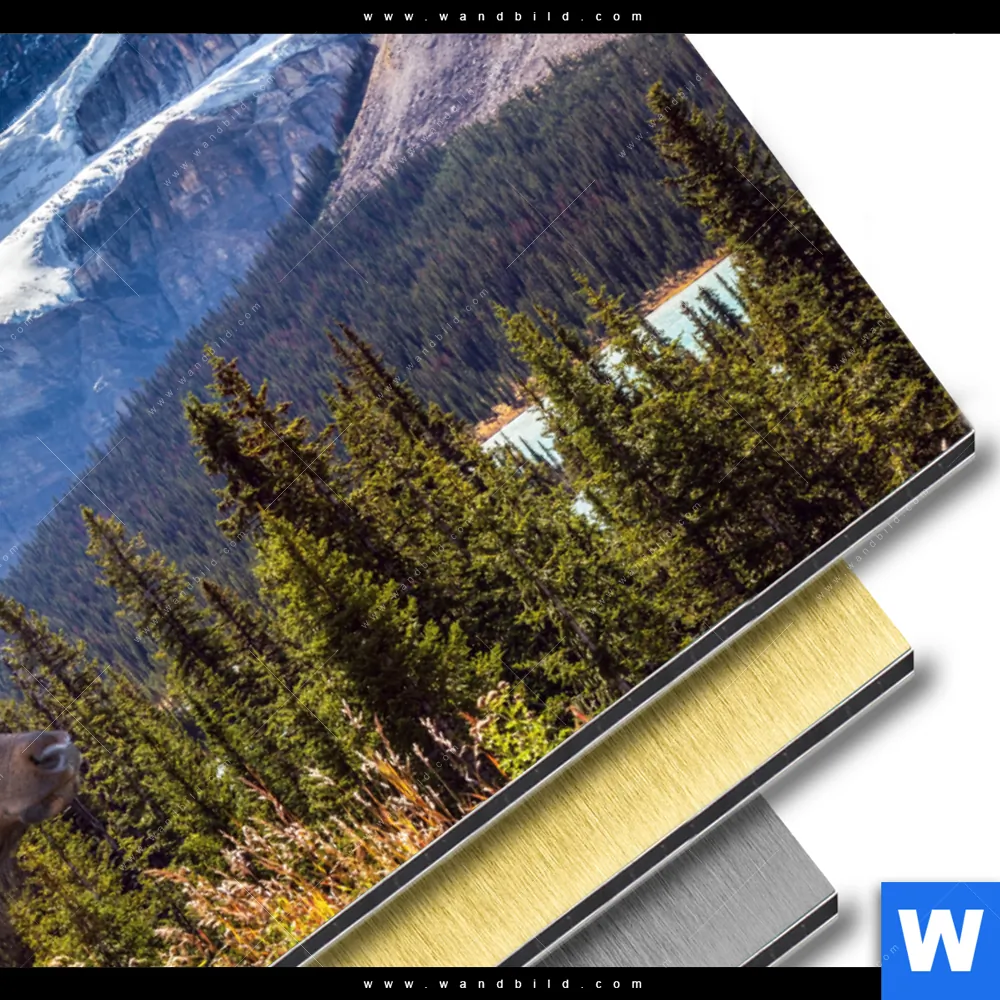 Aluminiumbild gebürstet | Hirsch vor Bergkulisse | Querformat - Image 3