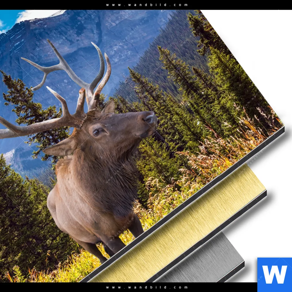 Aluminiumbild gebürstet | Hirsch vor Bergkulisse | Rund - Image 3