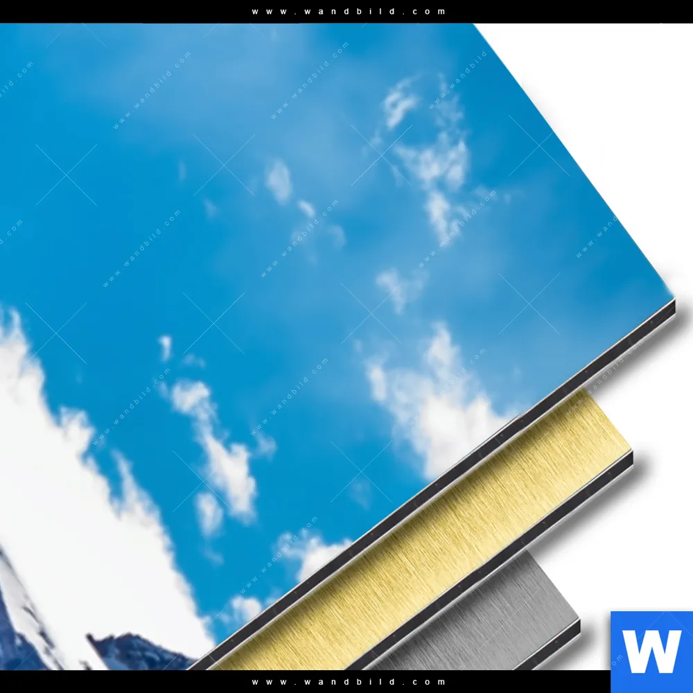 Aluminiumbild gebürstet | Hirsch vor Bergkulisse | Schmal - Image 3