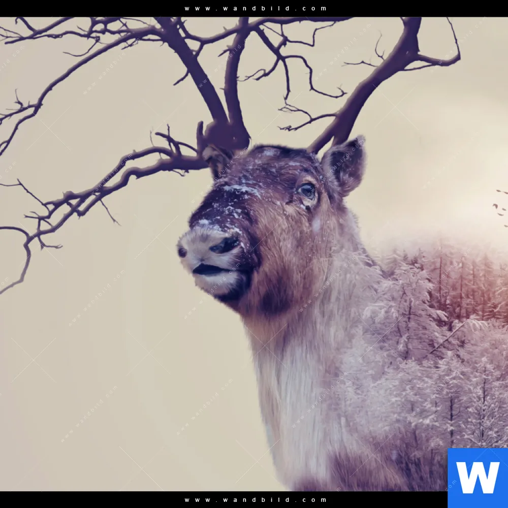 Aluminiumbild gebürstet | Hirsch & Wald No.1 | Schmal - Image 4