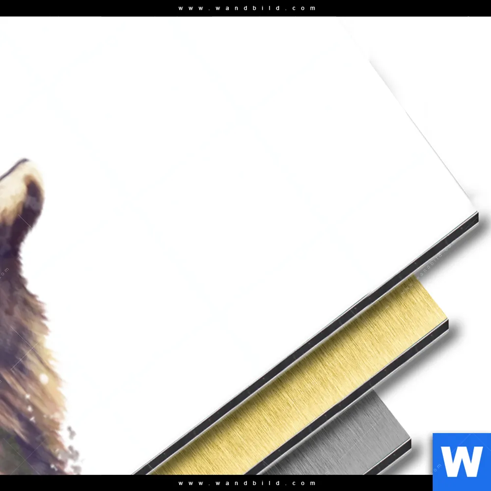 Aluminiumbild gebürstet | Hirsch & Wald No.2 | Panorama - Image 3