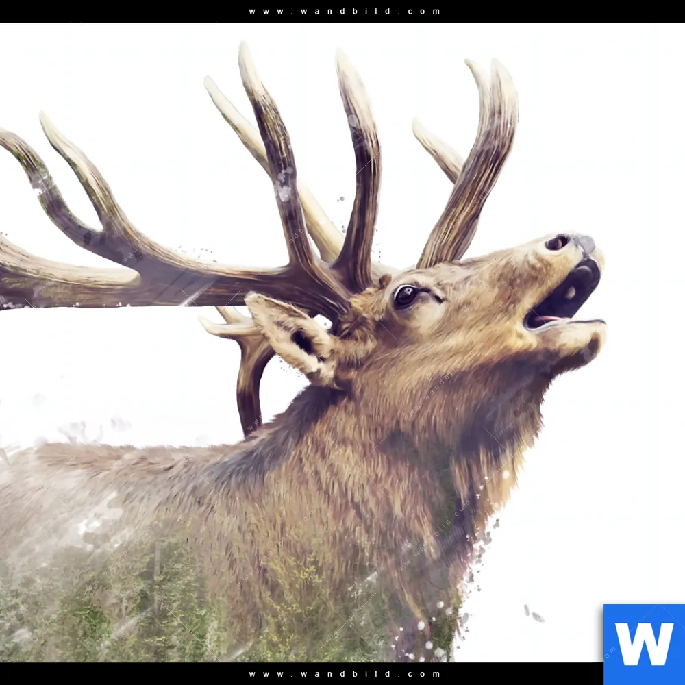 Aluminiumbild gebürstet | Hirsch & Wald No.2 | Panorama - Image 4