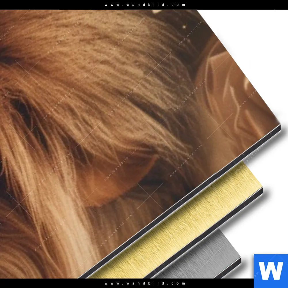 Aluminiumbild gebürstet | Löwe schläft in Blüten | Schmal - Image 3