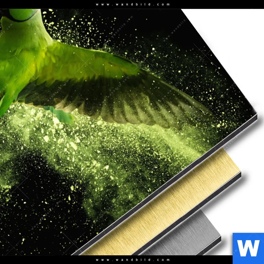 Aluminiumbild gebürstet | Papagei - grüne Farbexplosion | Hochformat - Image 3