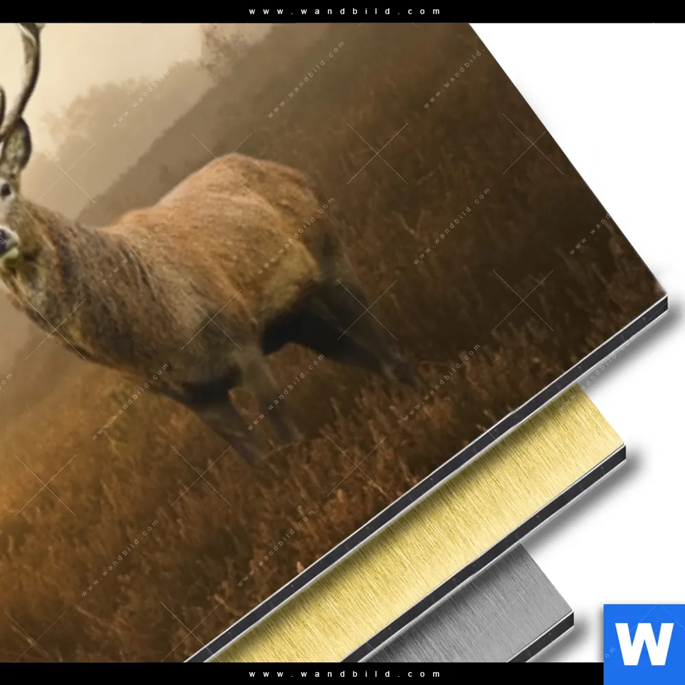 Aluminiumbild gebürstet | Rothirsch im Nebel | Panorama - Image 3