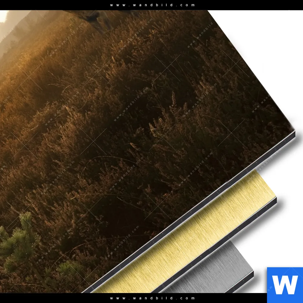 Aluminiumbild gebürstet | Rothirsch im Nebel | Quadrat - Image 3