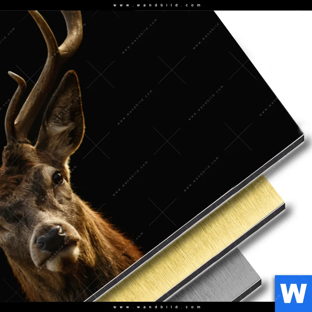 Aluminiumbild gebürstet | Rotwild Porträt | Querformat - Image 3