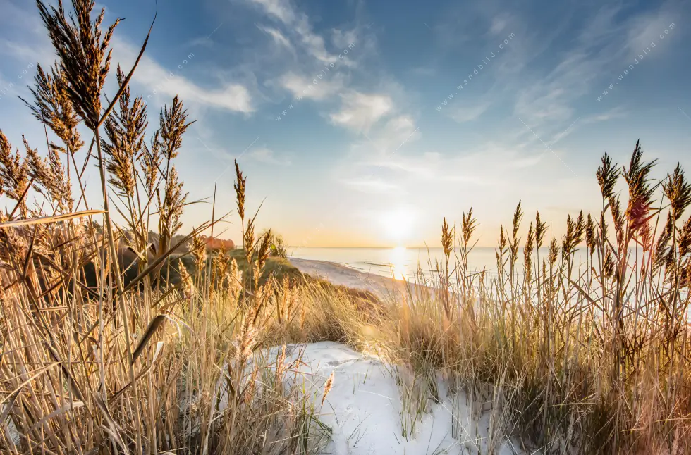 Leinwandbild | Urlaub am Meer | Hochformat - Image 5