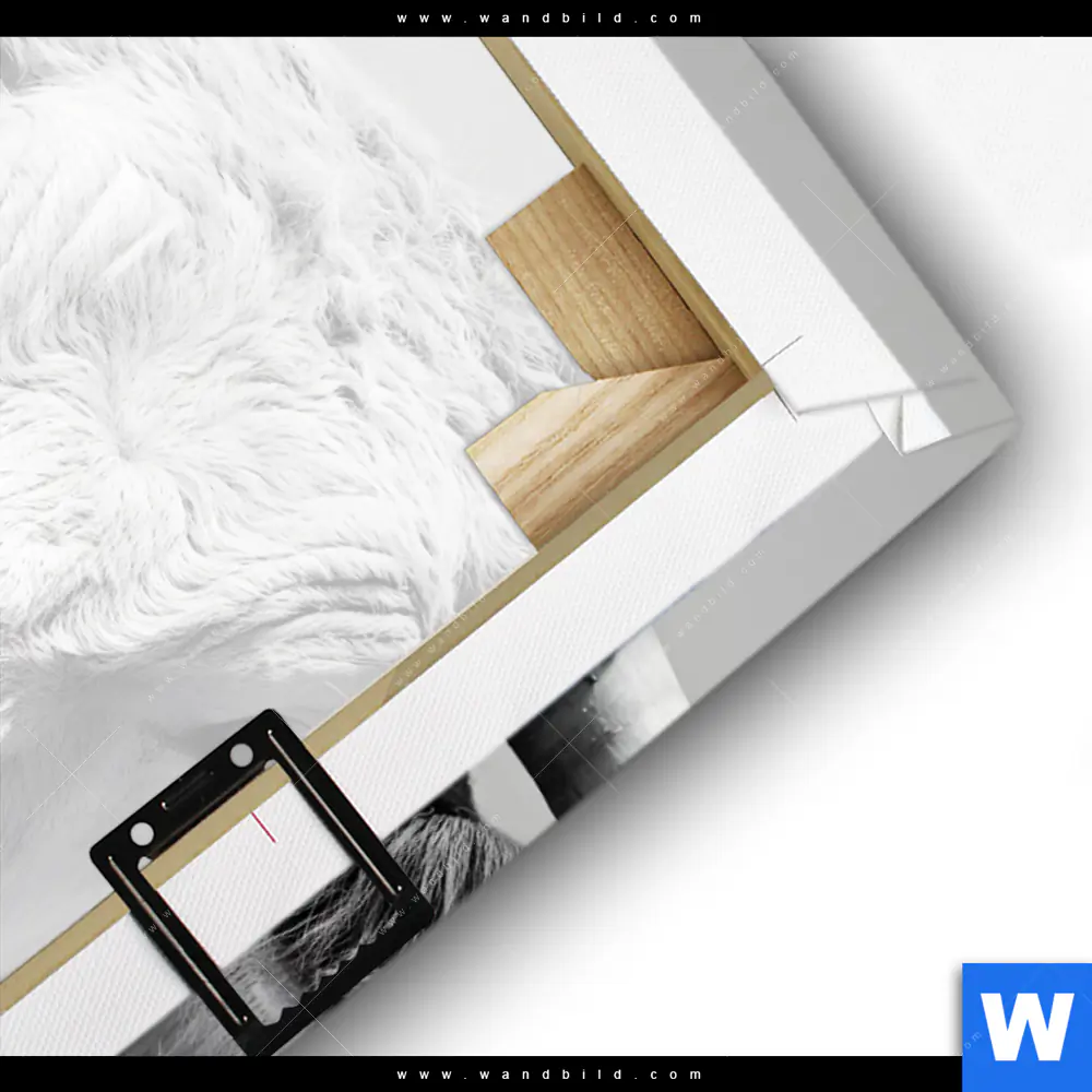 Leinwandbild | Weisser Bulle | Hochformat - Image 3