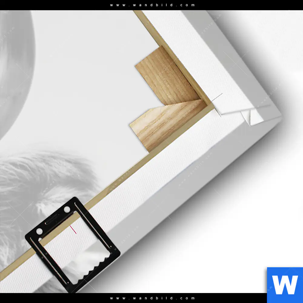 Leinwandbild | Weisser Bulle | Panorama - Image 3