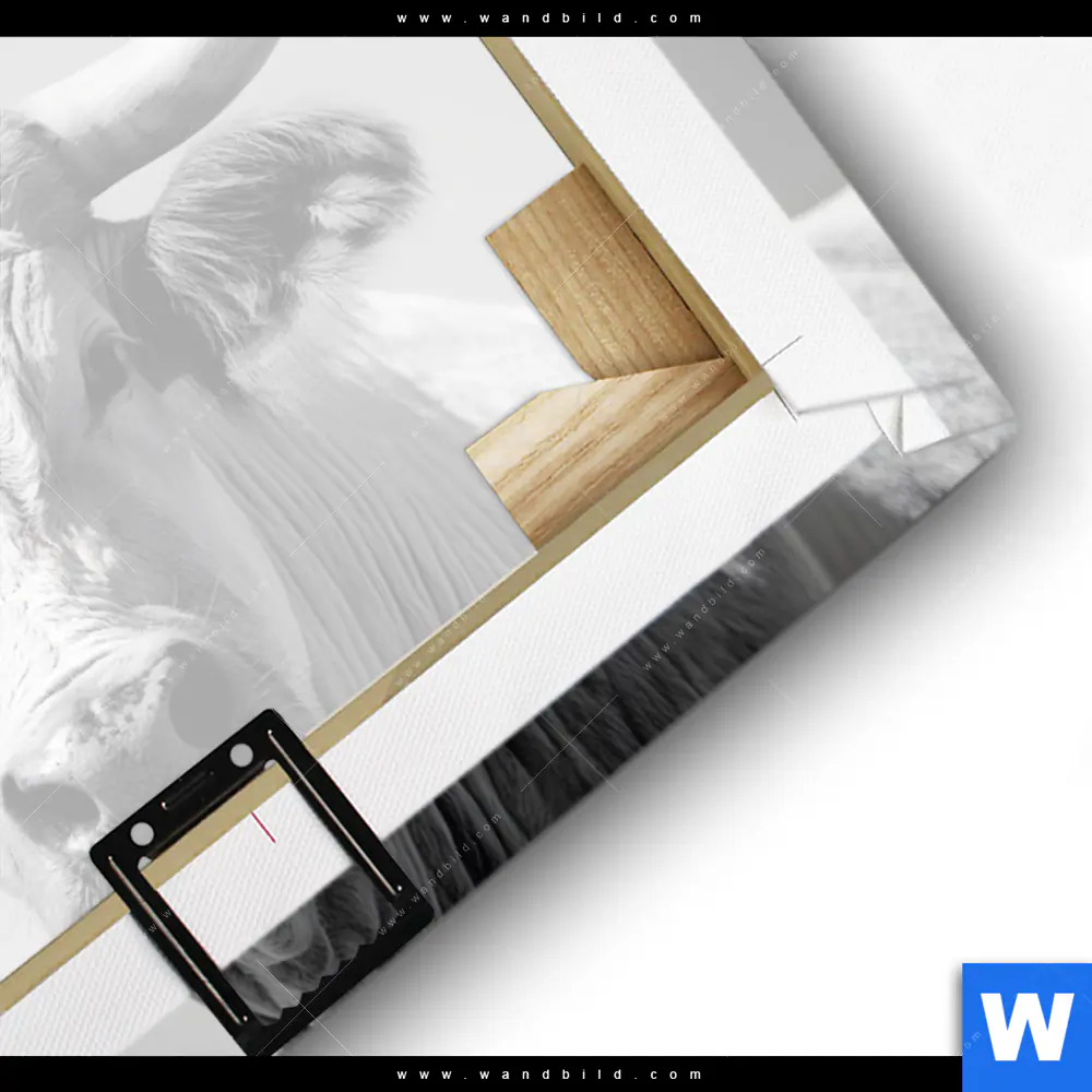 Leinwandbild | Weisser Bulle | Querformat - Image 3