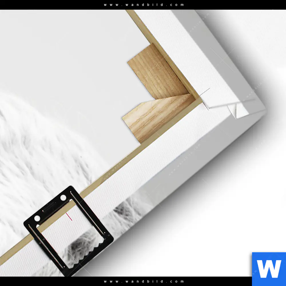 Leinwandbild | Weisser Bulle | Schmal - Image 3