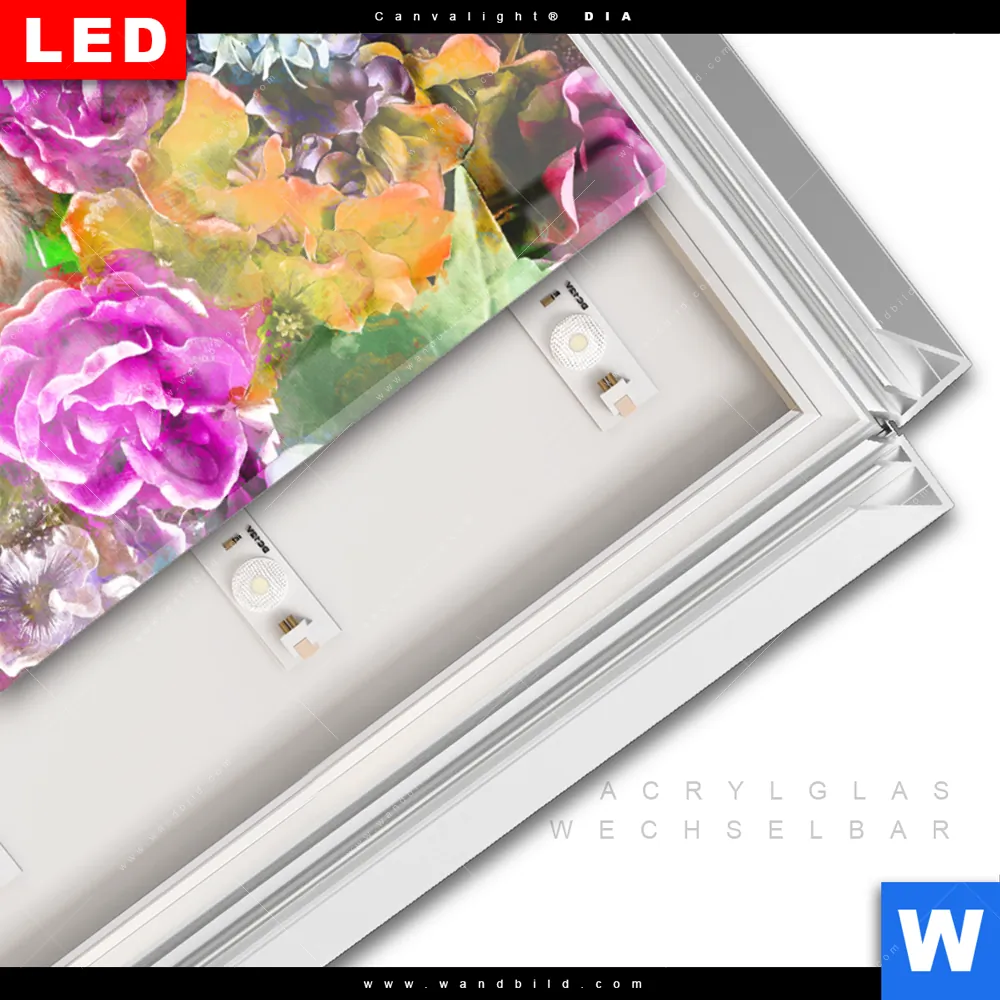 Leuchtbild Acrylglas Canvalight® DIA | Äffchen & Blumen | Hochformat - Image 3