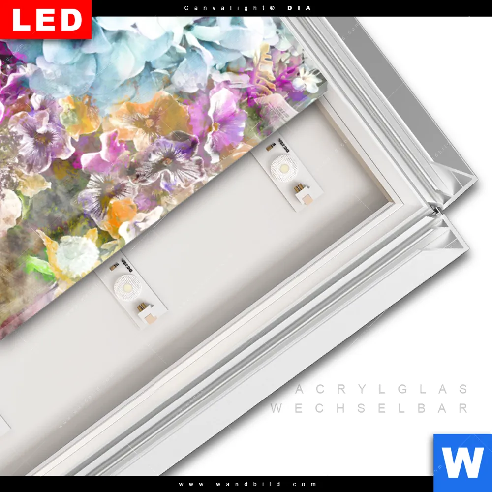 Leuchtbild Acrylglas Canvalight® DIA | Äffchen & Blumen | Panorama - Image 3