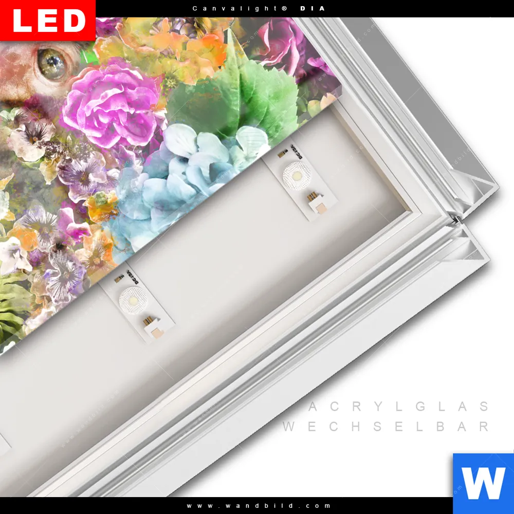 Leuchtbild Acrylglas Canvalight® DIA | Äffchen & Blumen | Quadrat - Image 3