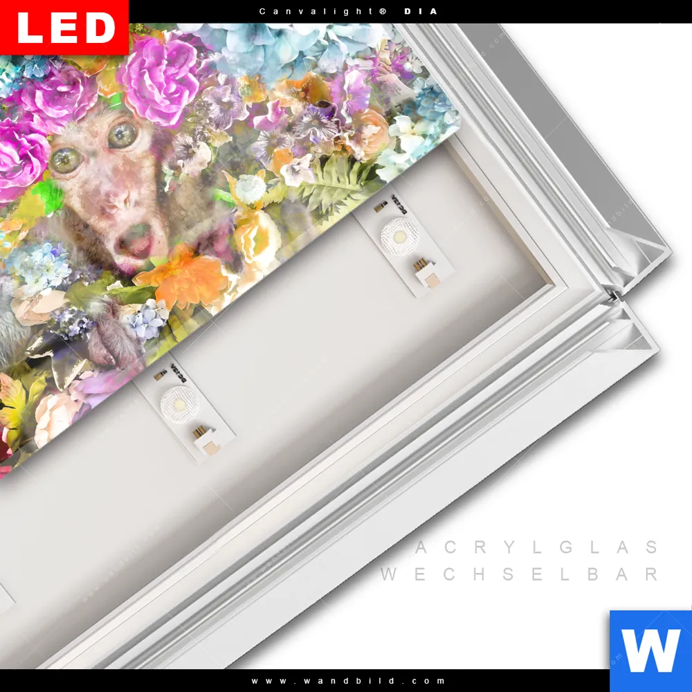 Leuchtbild Acrylglas Canvalight® DIA | Äffchen & Blumen | Querformat - Image 3