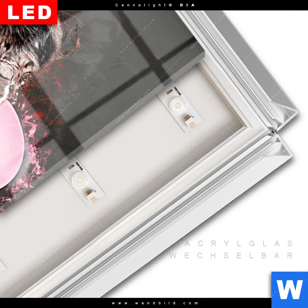 Leuchtbild Acrylglas Canvalight® DIA | Ballon Äffchen | Hochformat - Image 3