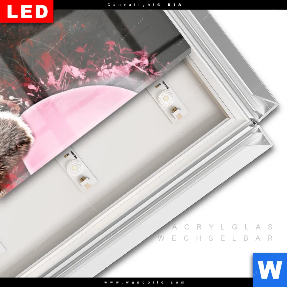 Leuchtbild Acrylglas Canvalight® DIA | Ballon Äffchen | Panorama - Image 3