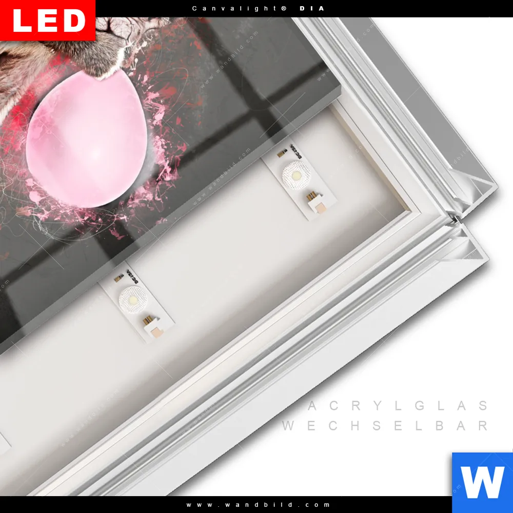 Leuchtbild Acrylglas Canvalight® DIA | Ballon Äffchen | Quadrat - Image 3