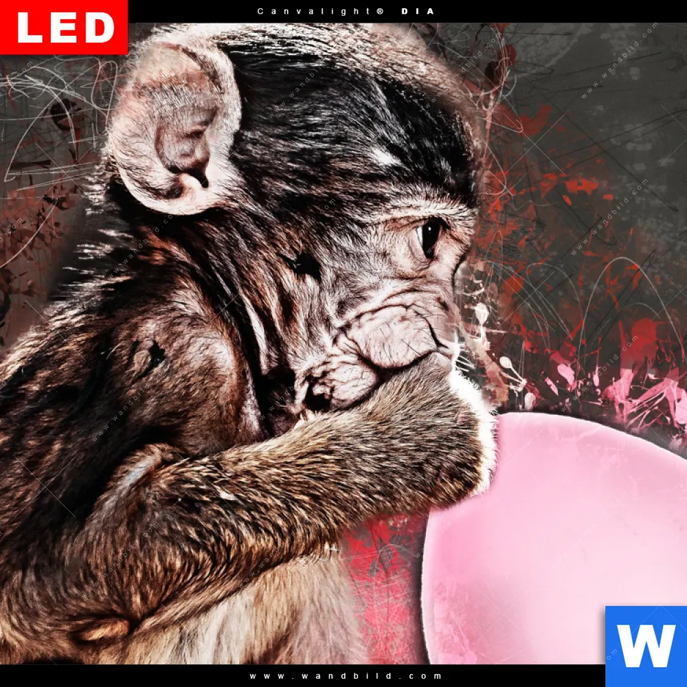 Leuchtbild Acrylglas Canvalight® DIA | Ballon Äffchen | Querformat - Image 4