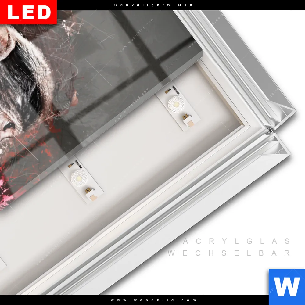 Leuchtbild Acrylglas Canvalight® DIA | Ballon Äffchen | Schmal - Image 3