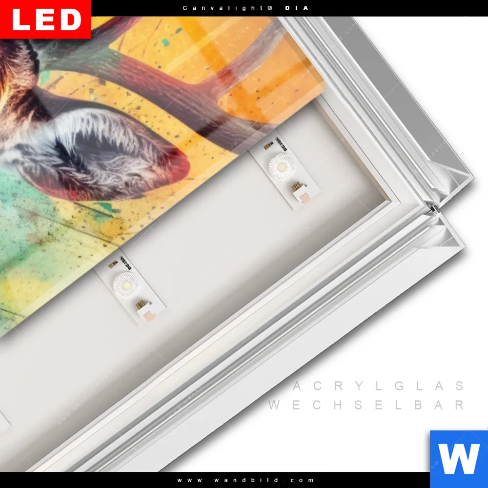 Leuchtbild Acrylglas Canvalight® DIA | Farbenfrohes Hirschporträt | Hochformat - Image 3
