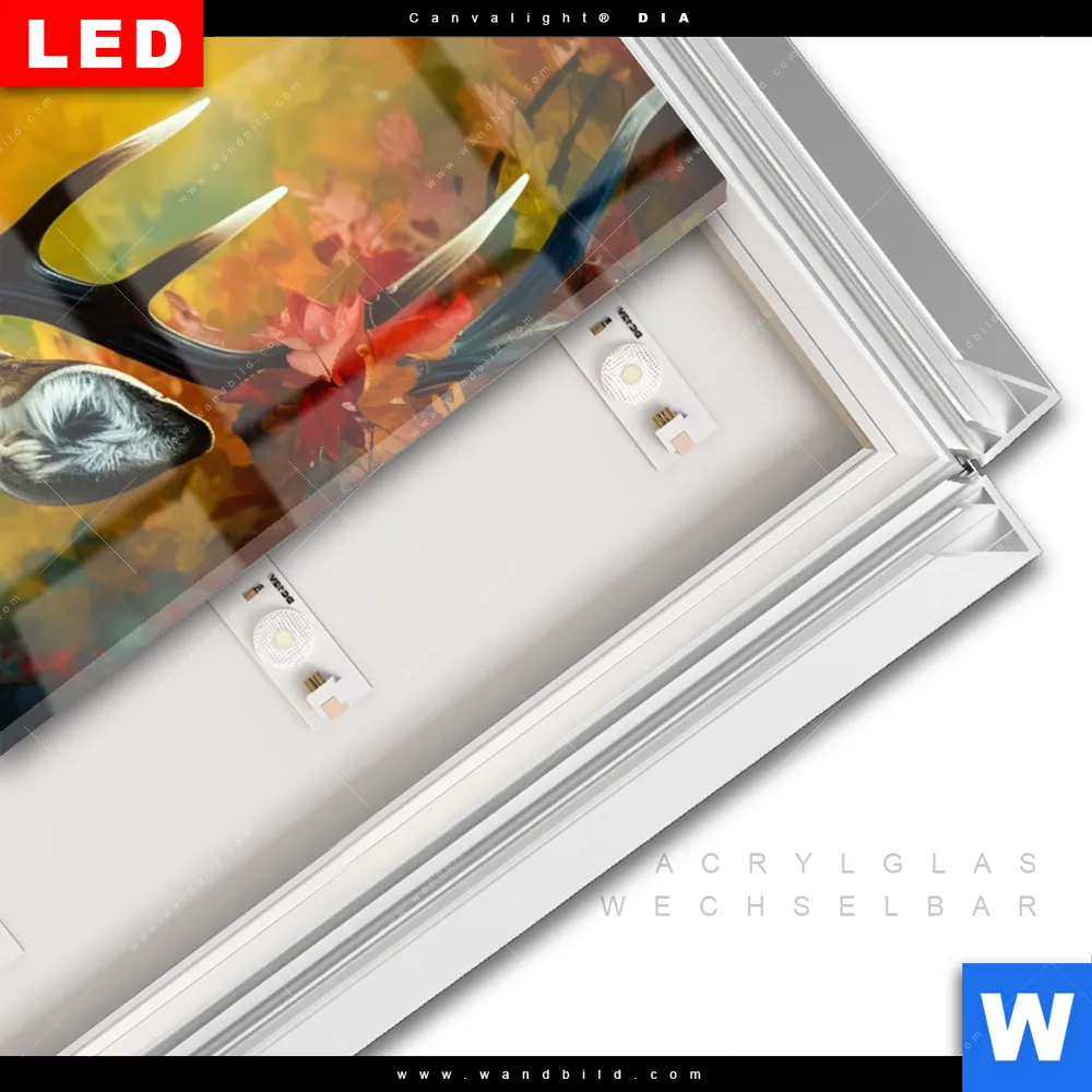 Leuchtbild Acrylglas Canvalight® DIA | Rothirsch im Herbstwald | Hochformat - Image 3
