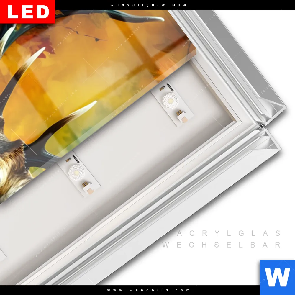 Leuchtbild Acrylglas Canvalight® DIA | Rothirsch im Herbstwald | Schmal - Image 3