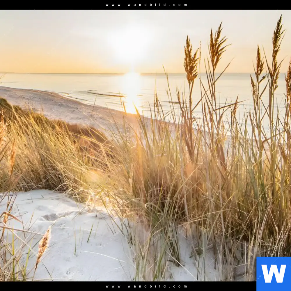 Poster | Urlaub am Meer | Querformat - Image 4