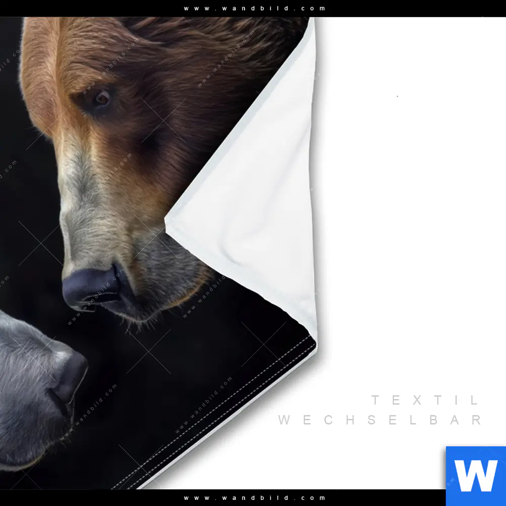 Wechselmotiv | Bären - Zweisamkeit | Querformat - Image 3