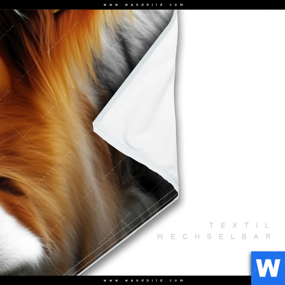 Wechselmotiv | Hochlandrinder - Harmonie der Natur | Panorama - Image 3