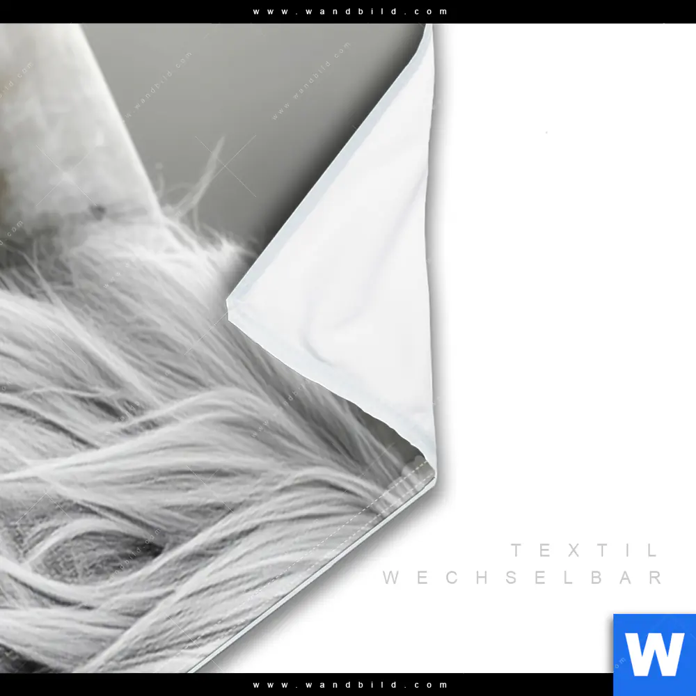 Wechselmotiv | Hochlandrinder - Harmonie der Natur | Schmal - Image 3