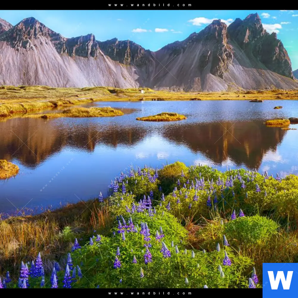 Wechselmotiv | Schöner Tag in Island | Panorama - Image 4