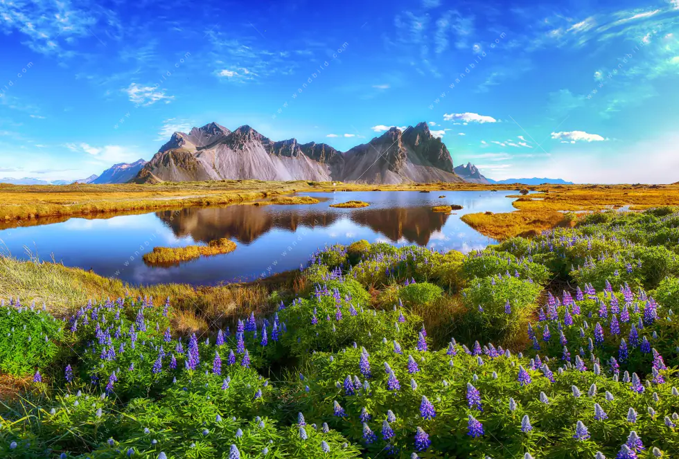 Wechselmotiv | Schöner Tag in Island | Panorama - Image 5