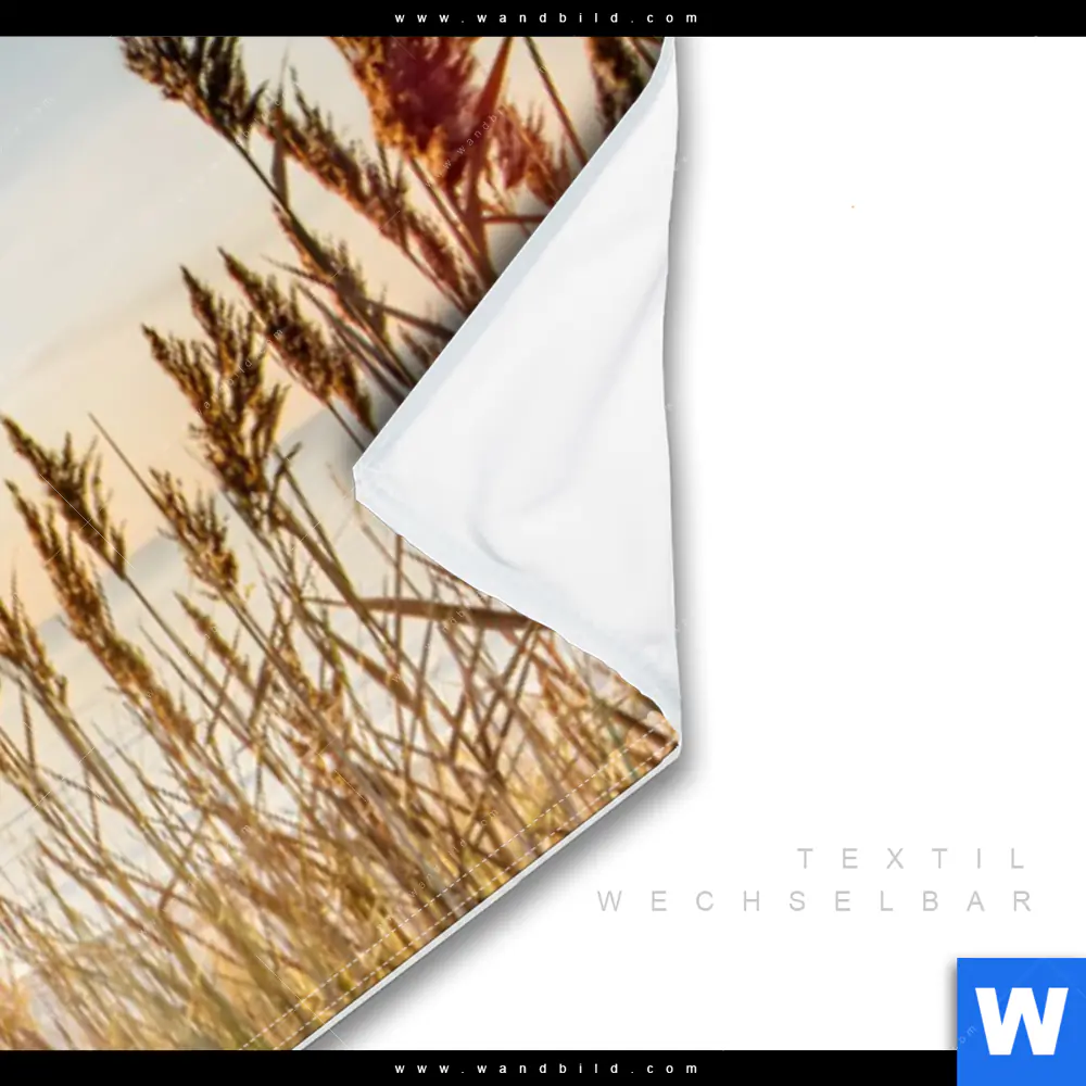 Wechselmotiv | Urlaub am Meer | Panorama - Image 3