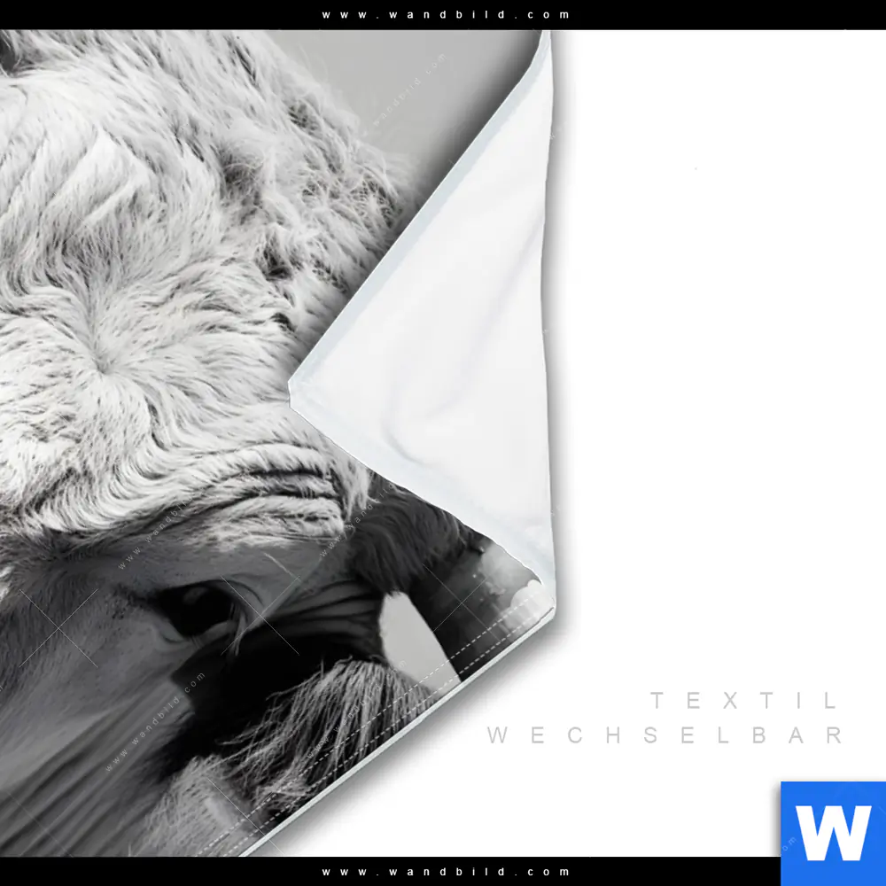 Wechselmotiv | Weisser Bulle | Hochformat - Image 3