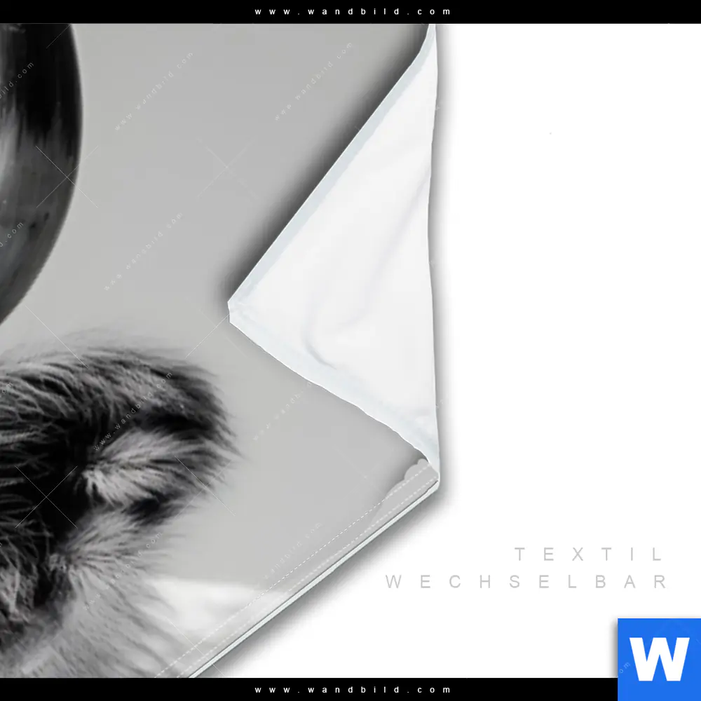 Wechselmotiv | Weisser Bulle | Panorama - Image 3