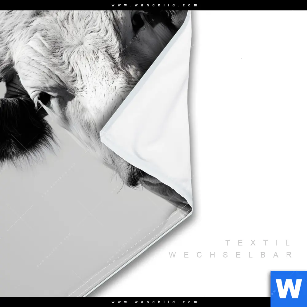 Wechselmotiv | Weisser Bulle | Quadrat - Image 3