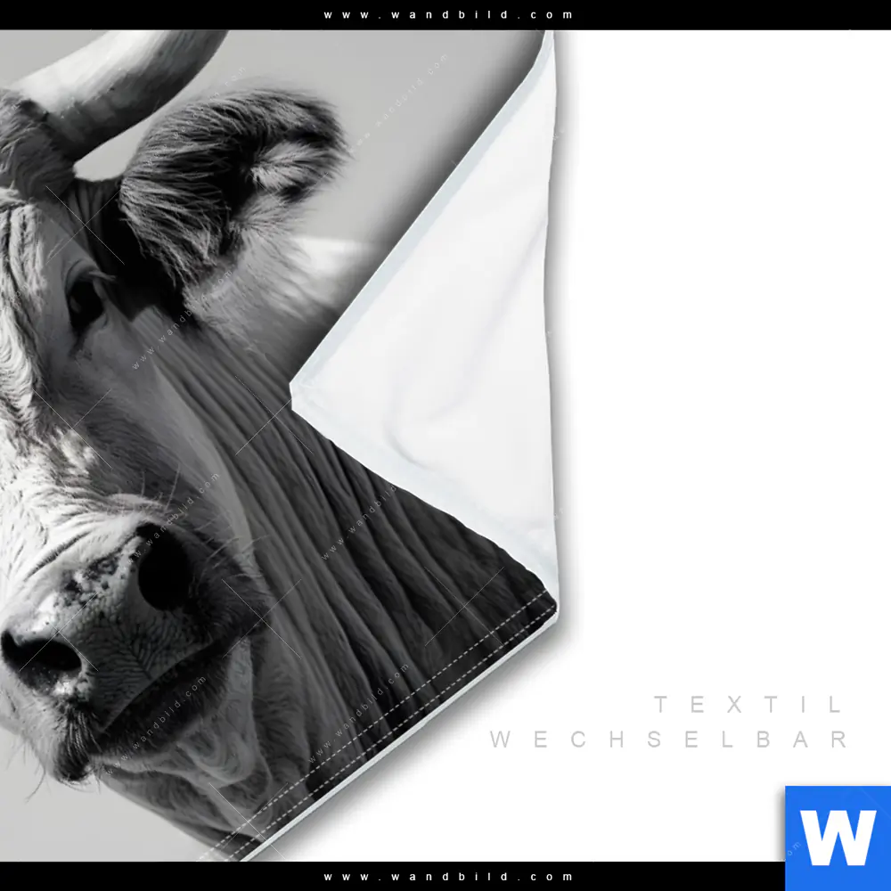 Wechselmotiv | Weisser Bulle | Querformat - Image 3