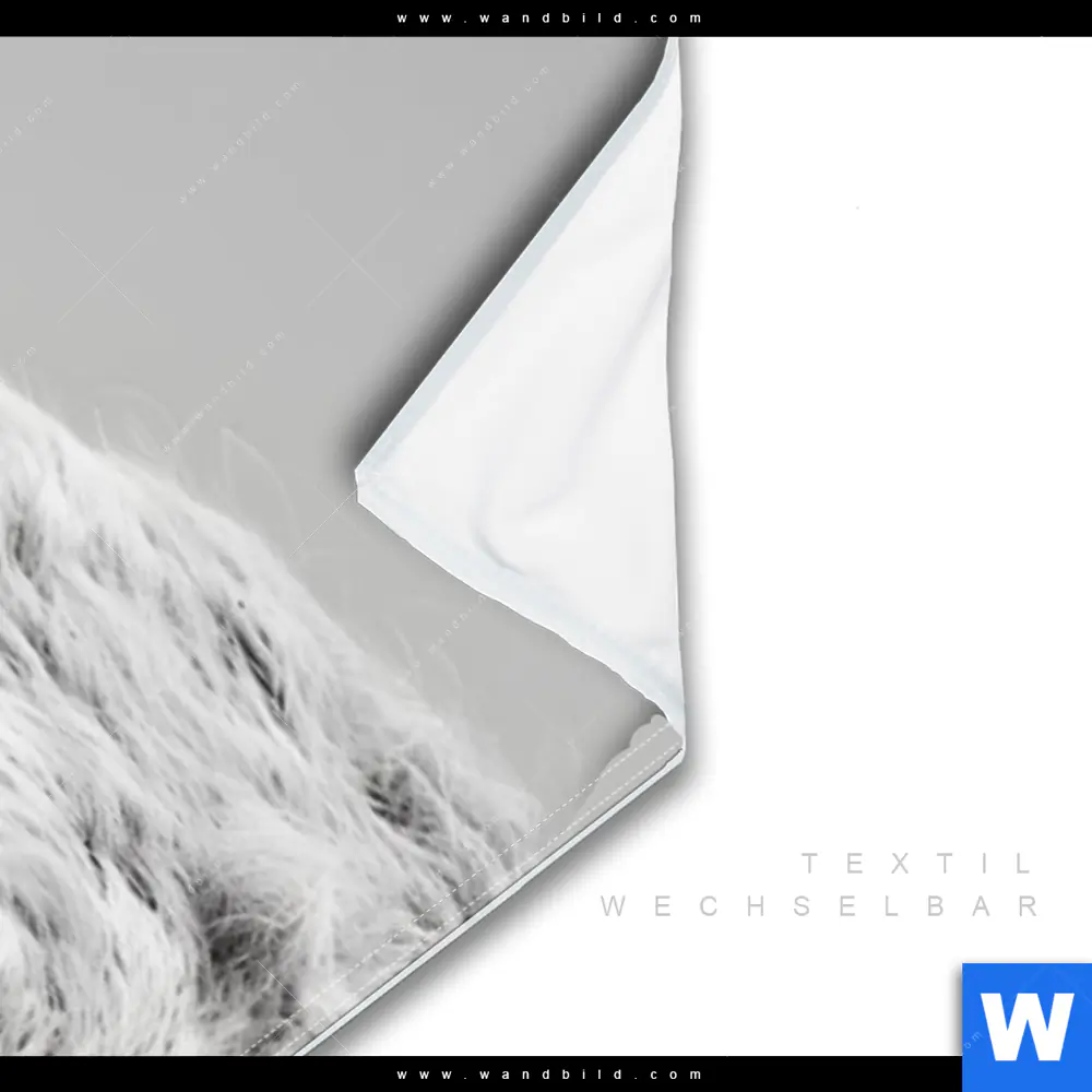 Wechselmotiv | Weisser Bulle | Schmal - Image 3